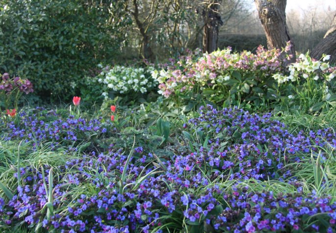 Kentish Farm House Purple Flowers Marian Boswall Gardenista 0